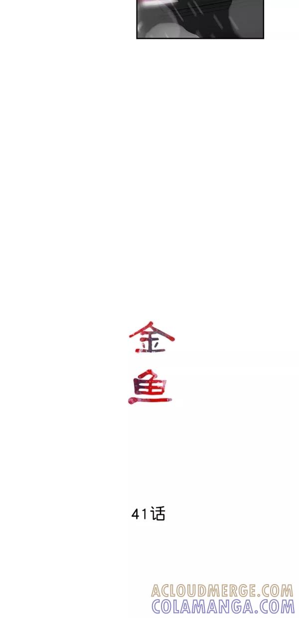 《金鱼》第41话 第19页