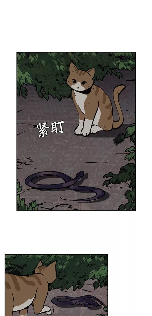 《金鱼》第42话 第2页