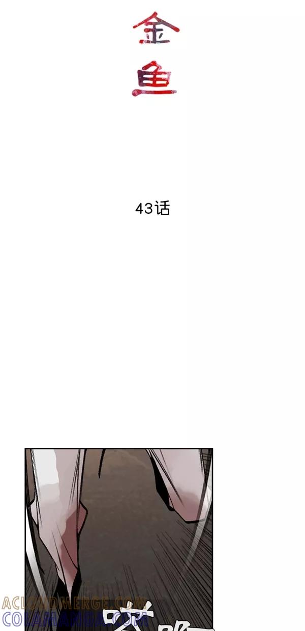 《金鱼》第43话 第16页