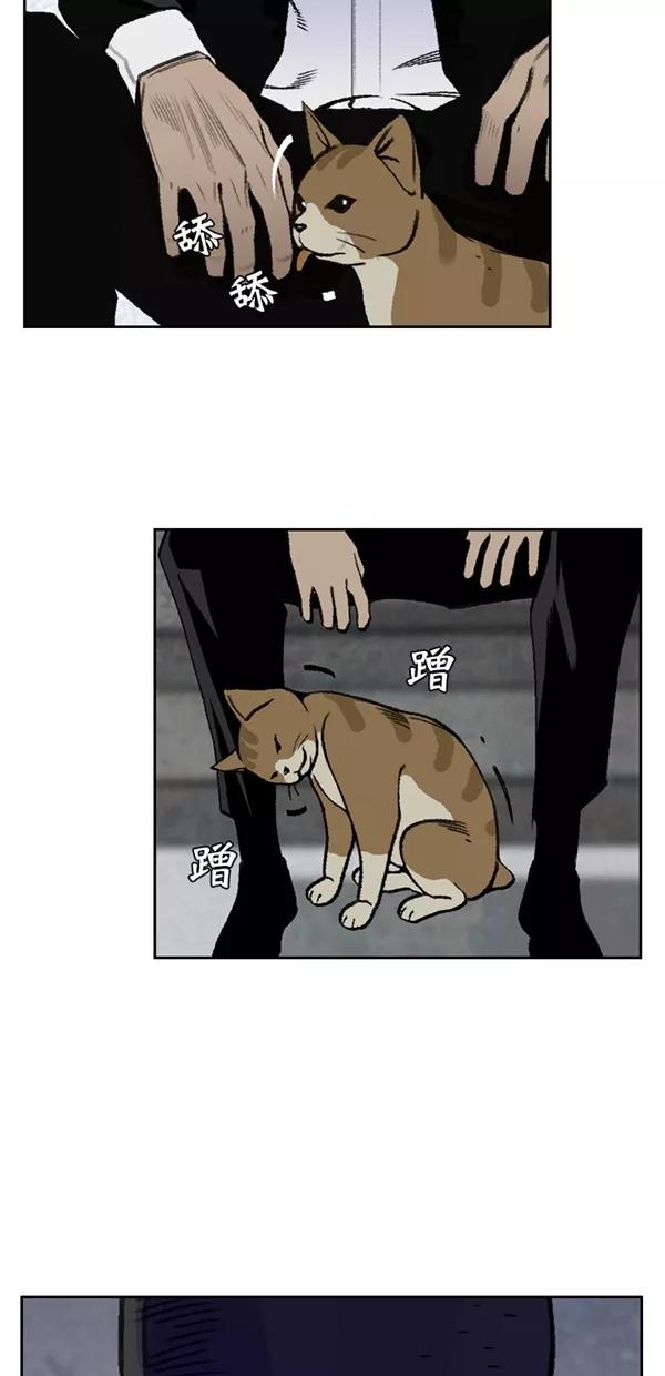 《金鱼》第46话 第11页