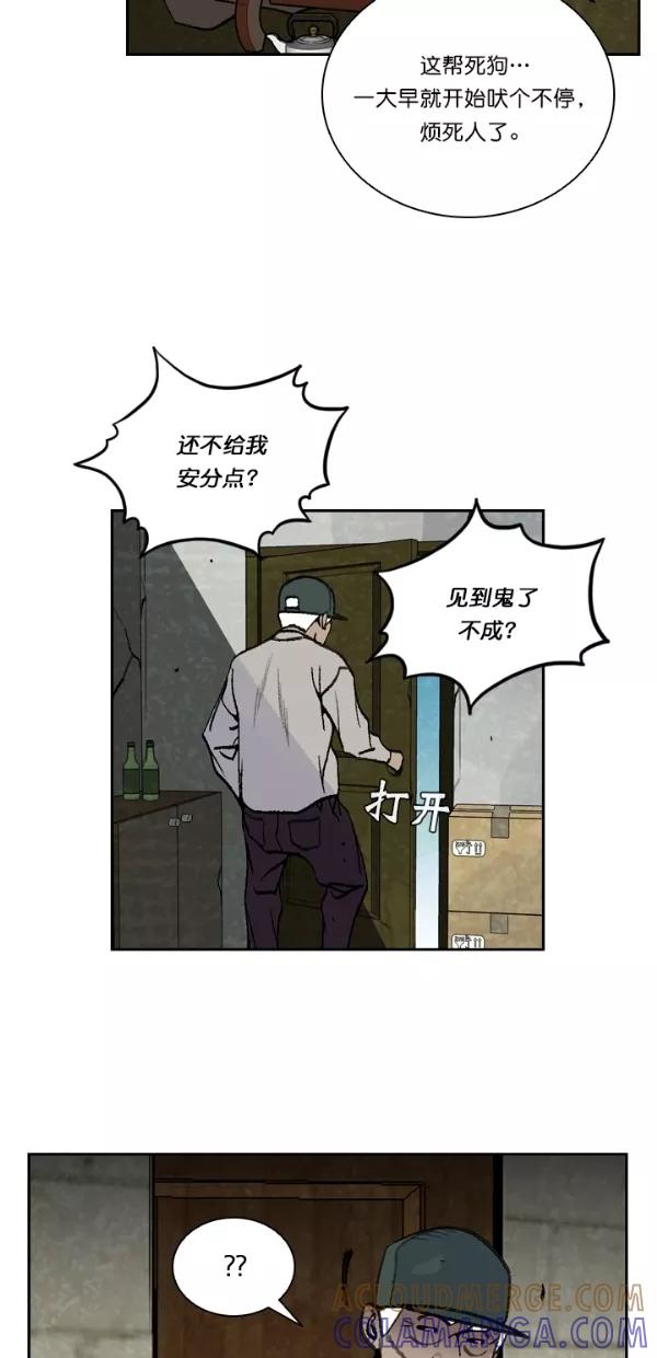 《金鱼》第47话 第43页