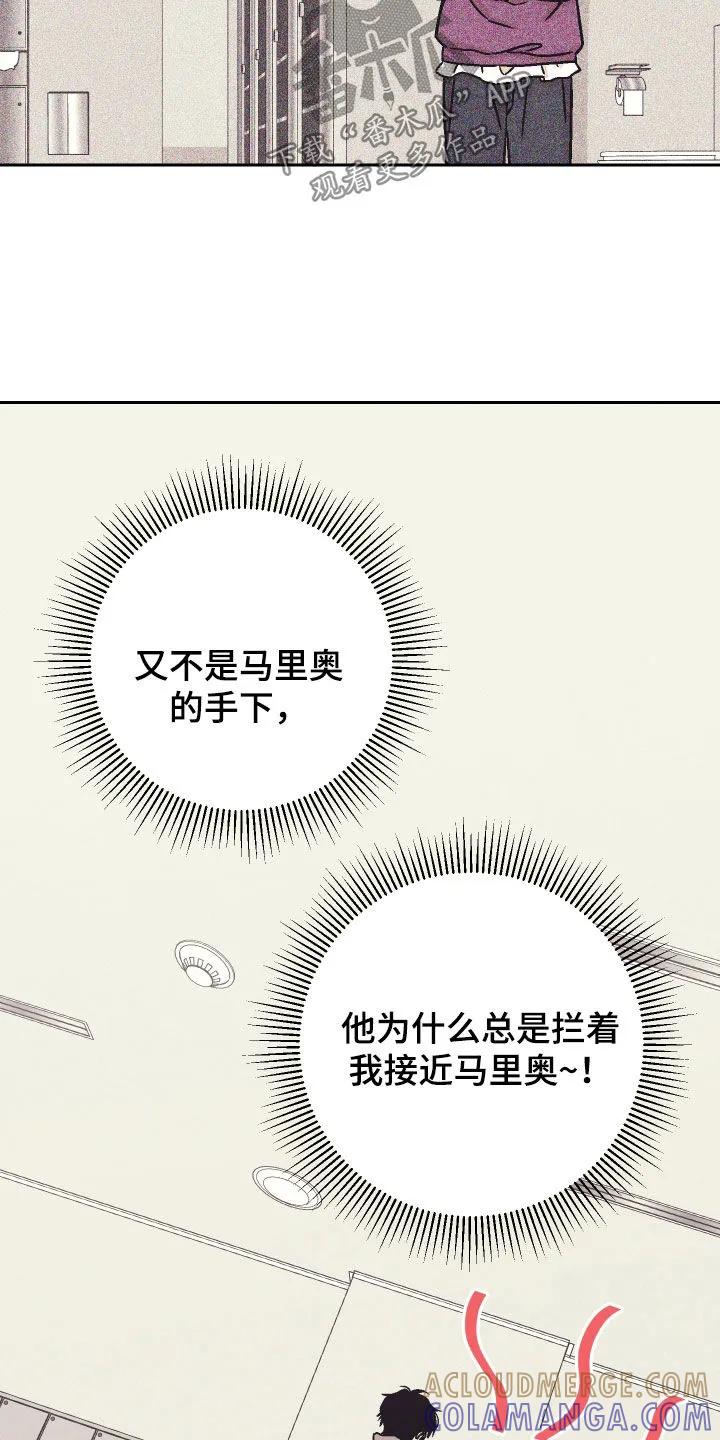 《卧底新生》第33章：警告 第17页
