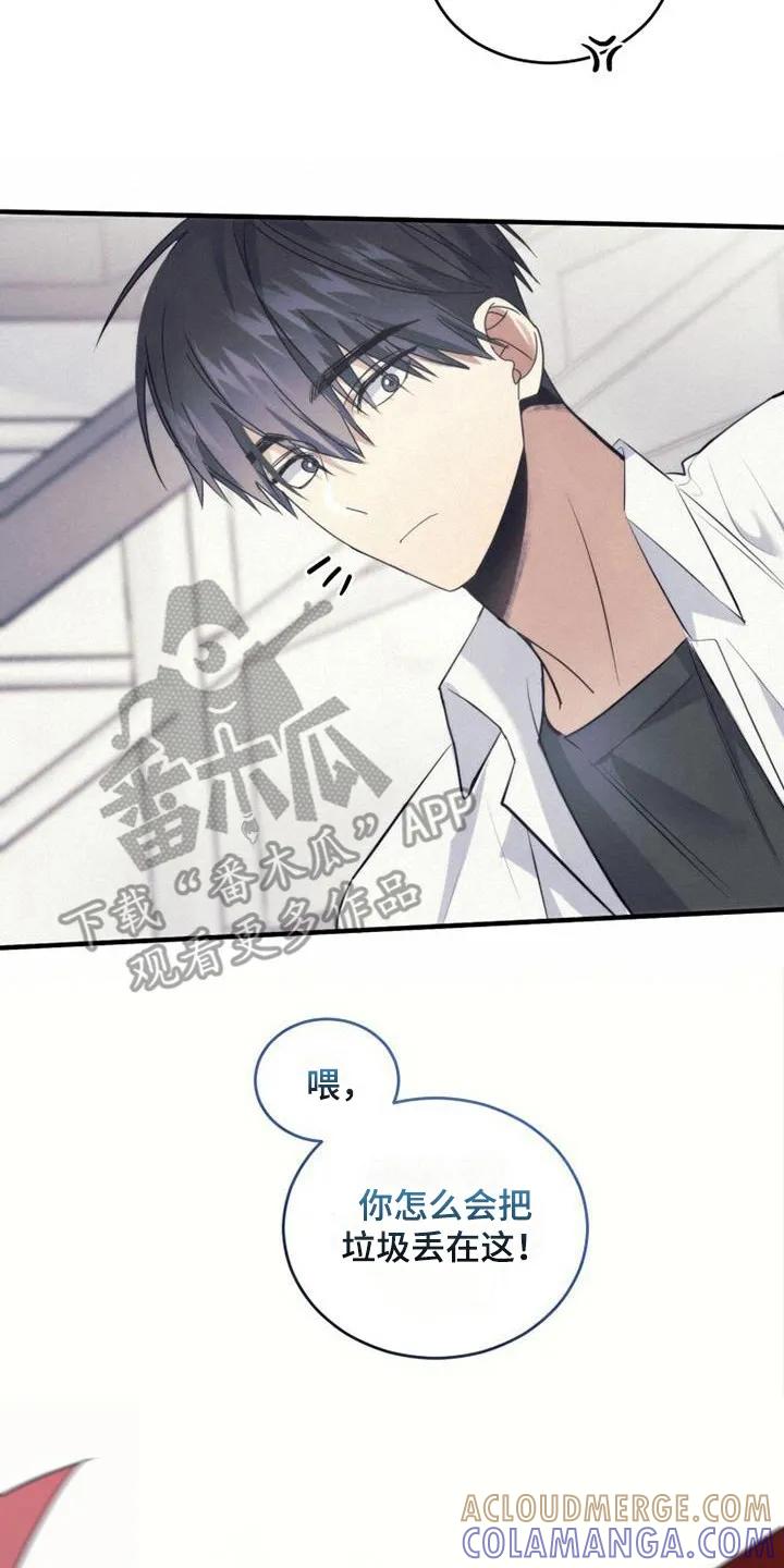 《追逐繁星》第16章：打闹 第17页