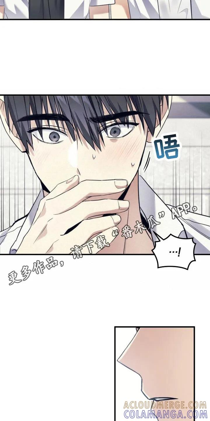 《追逐繁星》第16章：打闹 第5页