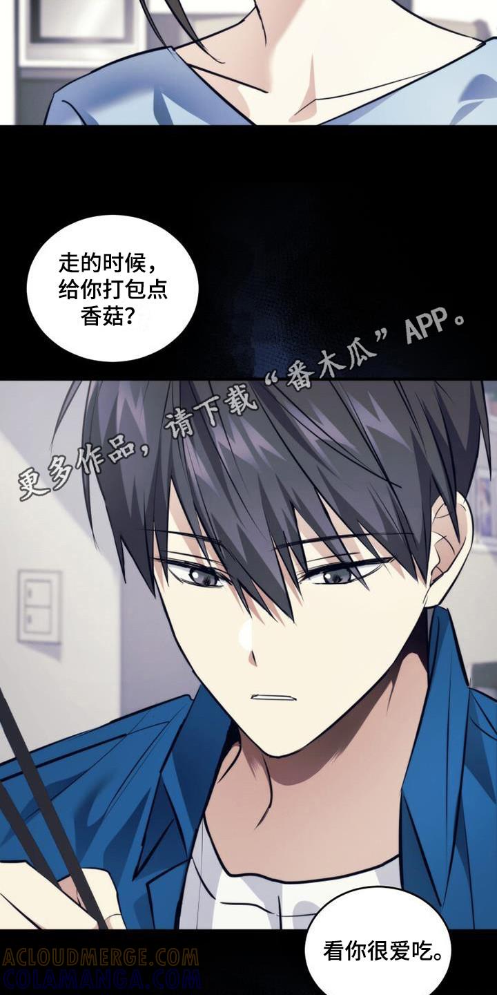 《追逐繁星》第21章：早就知道 第11页