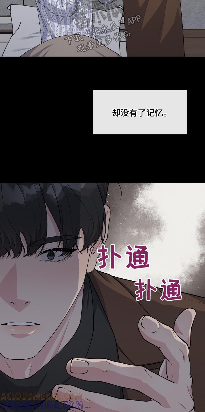《记忆的慢反射》第29章：没有记忆 第13页