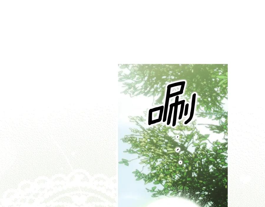 75.jpg