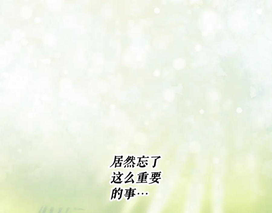 95.jpg