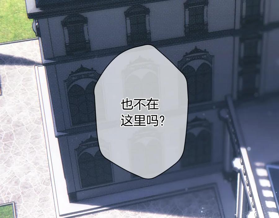 294.jpg