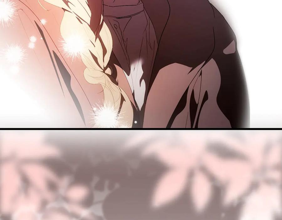 231.jpg
