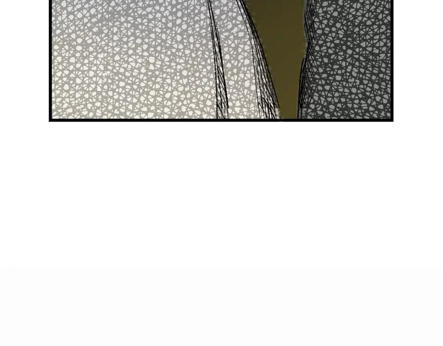 166.jpg