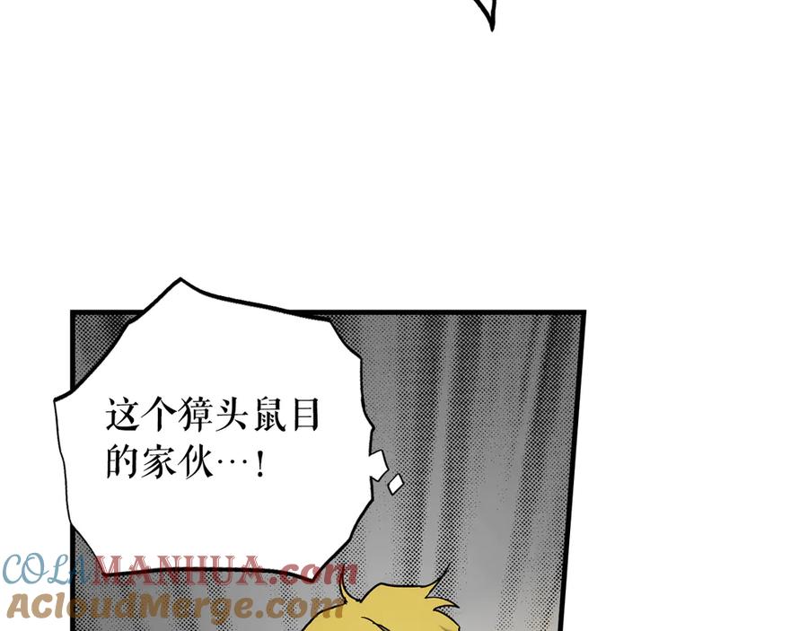 113.jpg