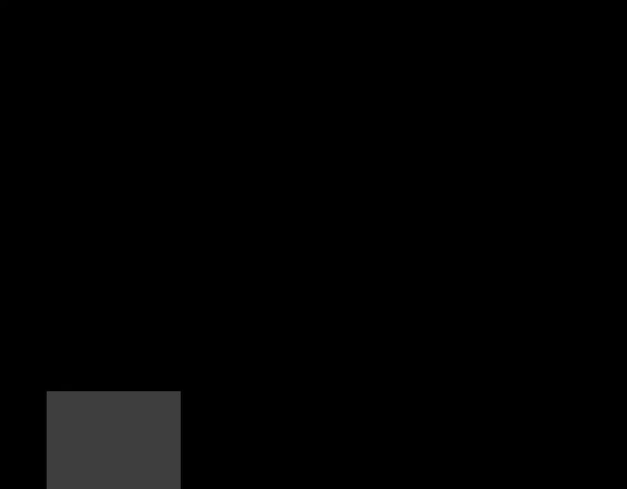 155.jpg