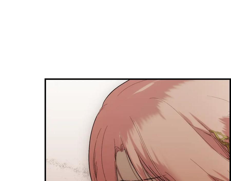 100.jpg