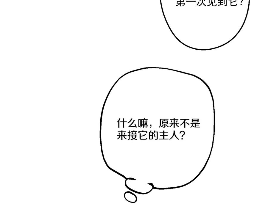 某天成为公主 第17话 魔法师少年 第32页