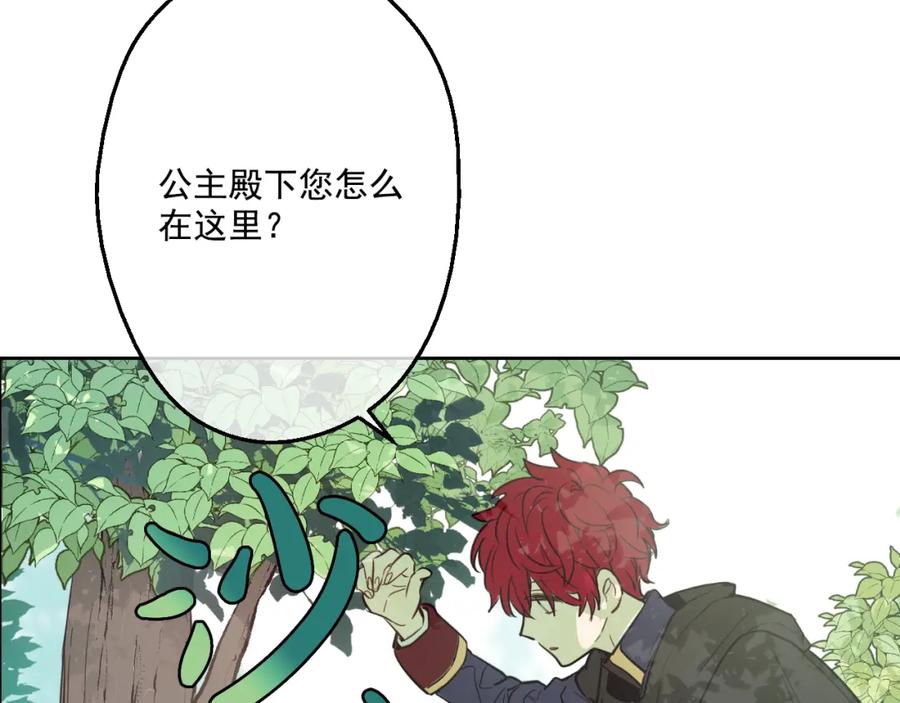 某天成为公主 第17话 魔法师少年 第39页