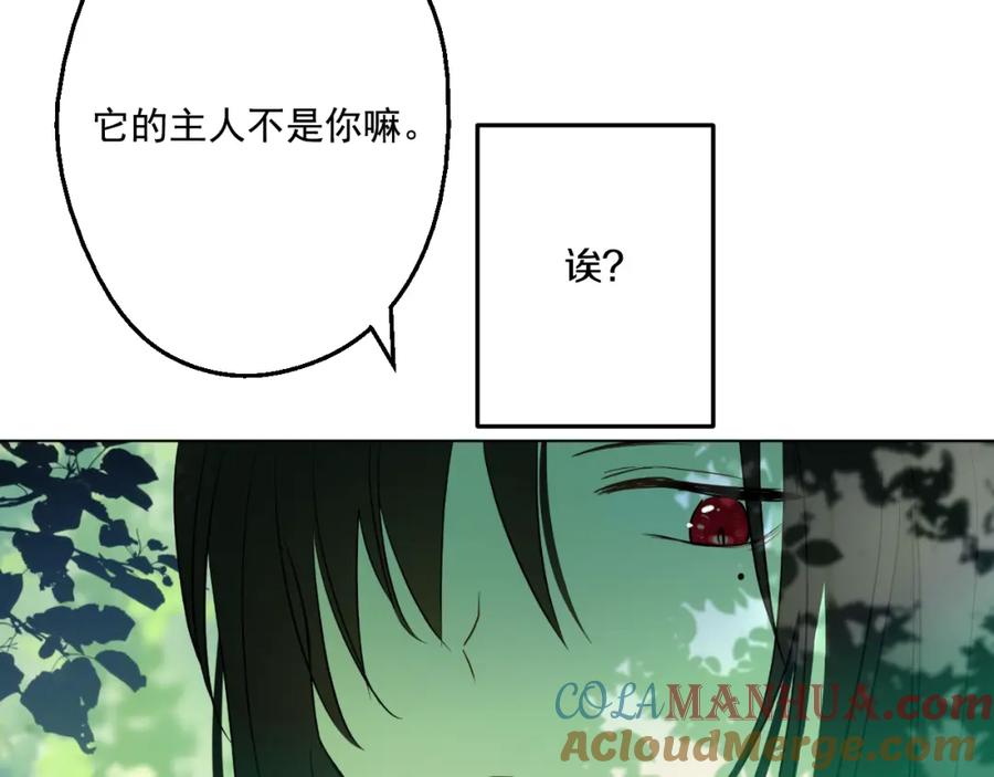 某天成为公主 第17话 魔法师少年 第81页