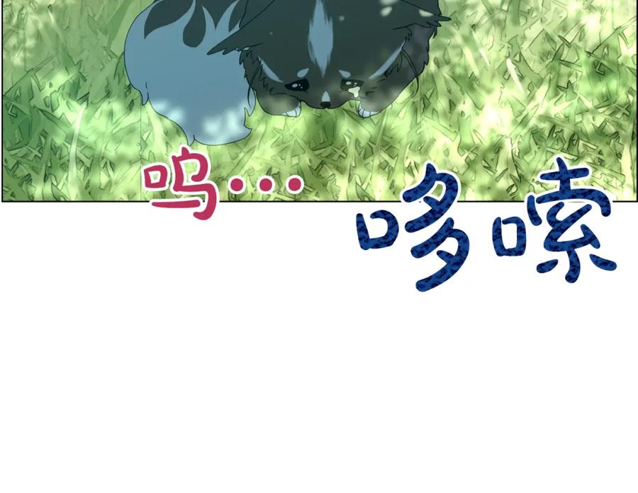 某天成为公主 第17话 魔法师少年 第75页