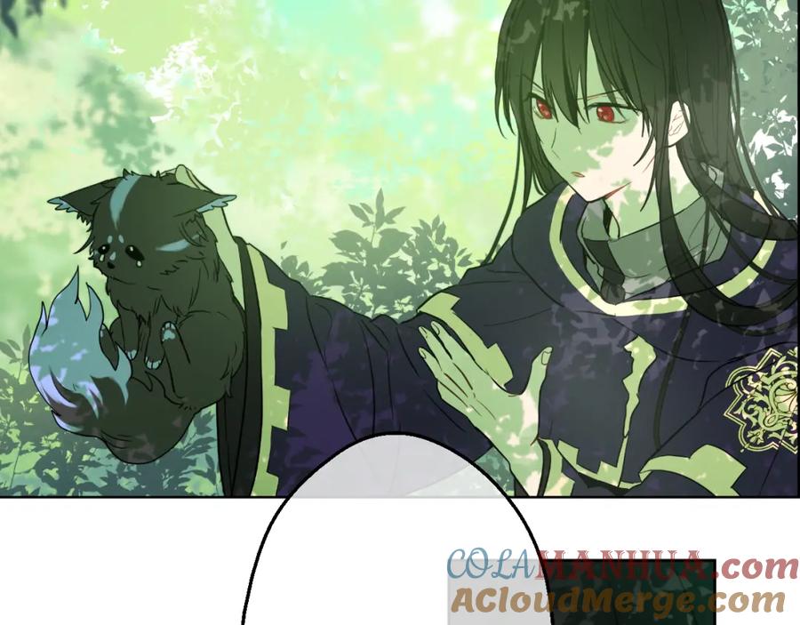 某天成为公主 第17话 魔法师少年 第49页