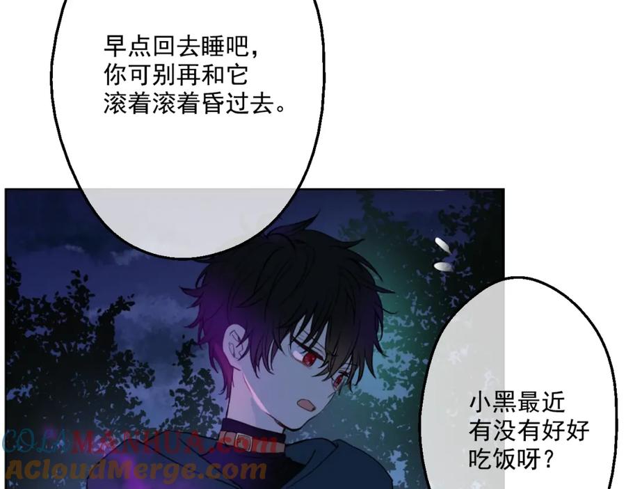 某天成为公主 第29话 舞会进行时 第17页