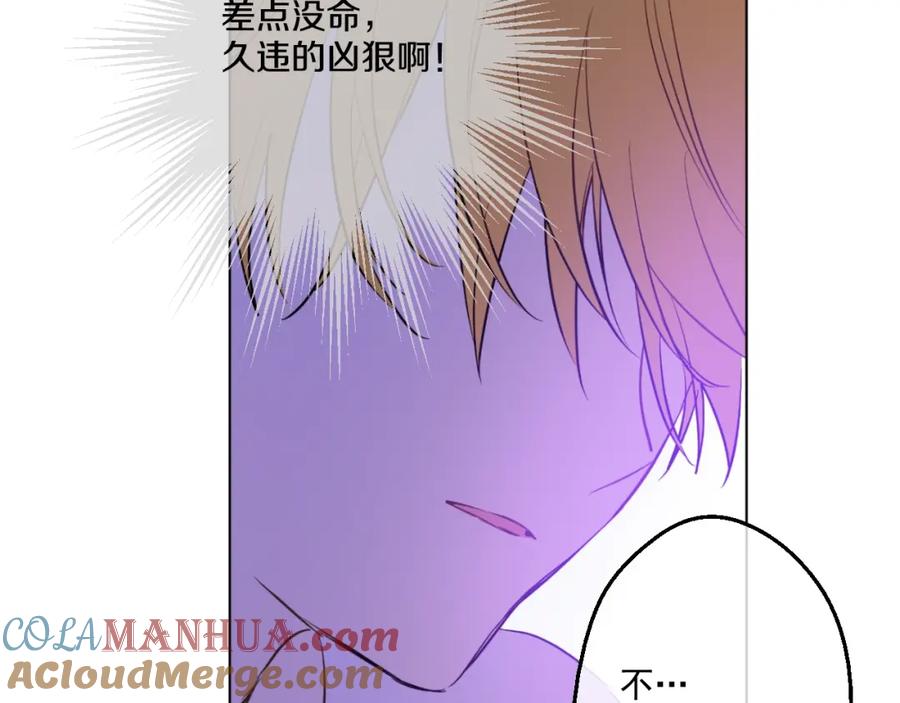 某天成为公主 第37话 克劳德的美~ 第41页