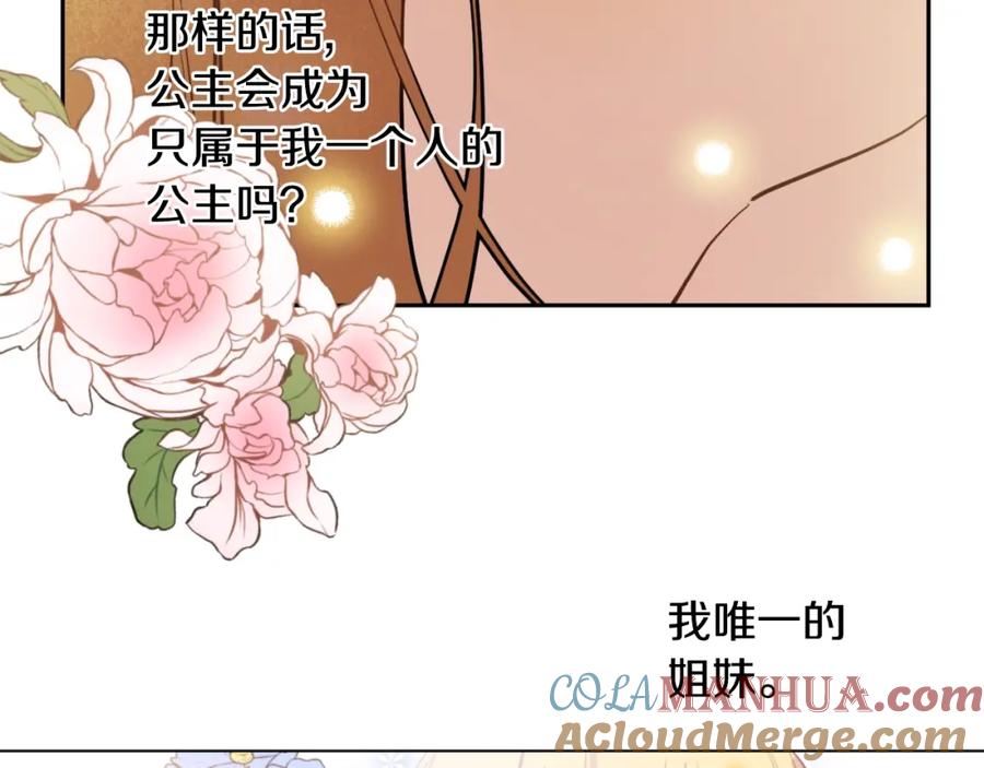 某天成为公主 第12话 礼物 第117页