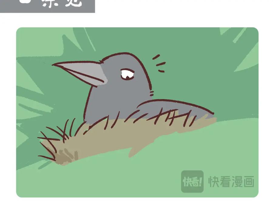 《胖达x胖达》第248话 第8页