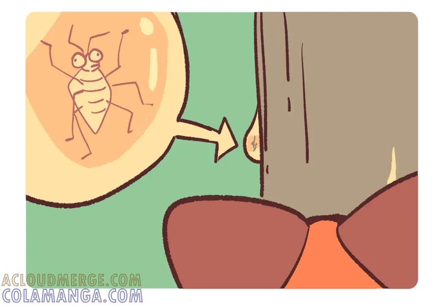 《胖达x胖达》第248话 第3页