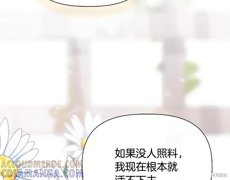 我不再是灰姑娘 第104话 第69页