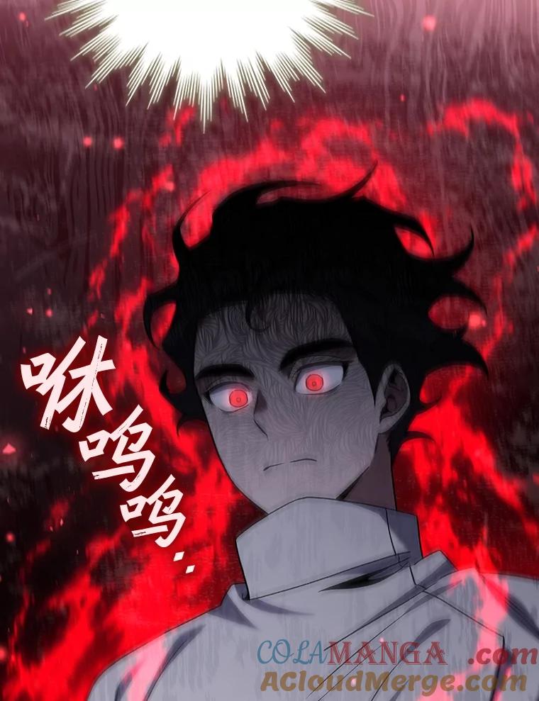 《噬龙魔法师》30.追踪异教徒 第121页