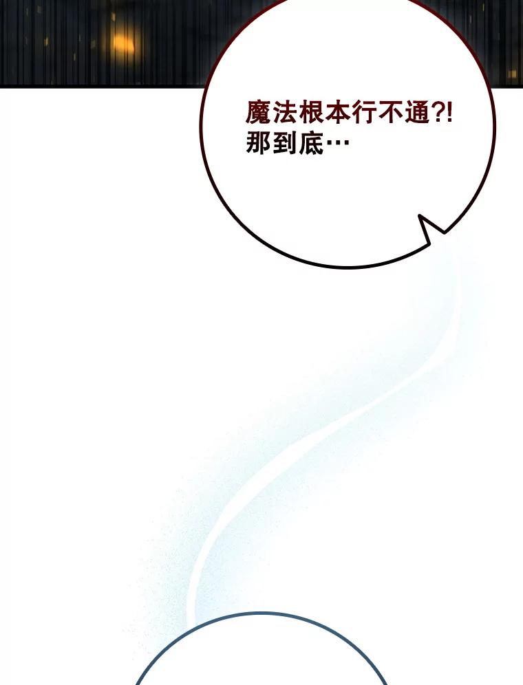 《噬龙魔法师》43.私生子 第8页