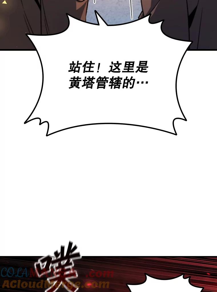 《噬龙魔法师》43.私生子 第49页