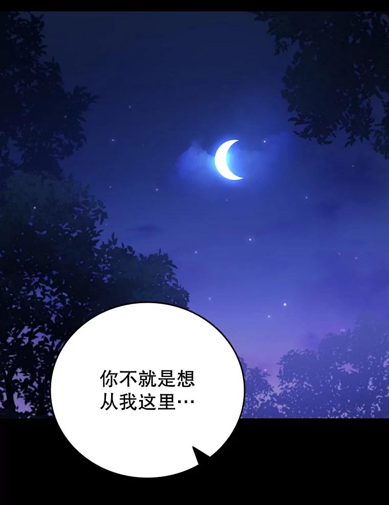 《噬龙魔法师》43.私生子 第102页