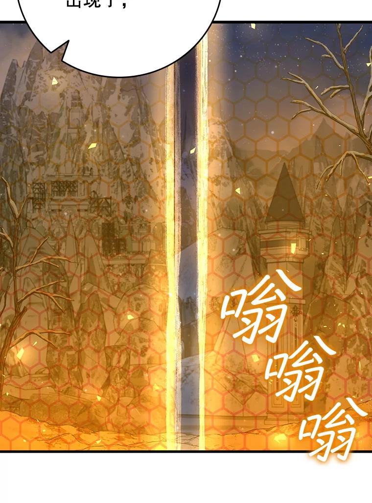 《噬龙魔法师》43.私生子 第56页