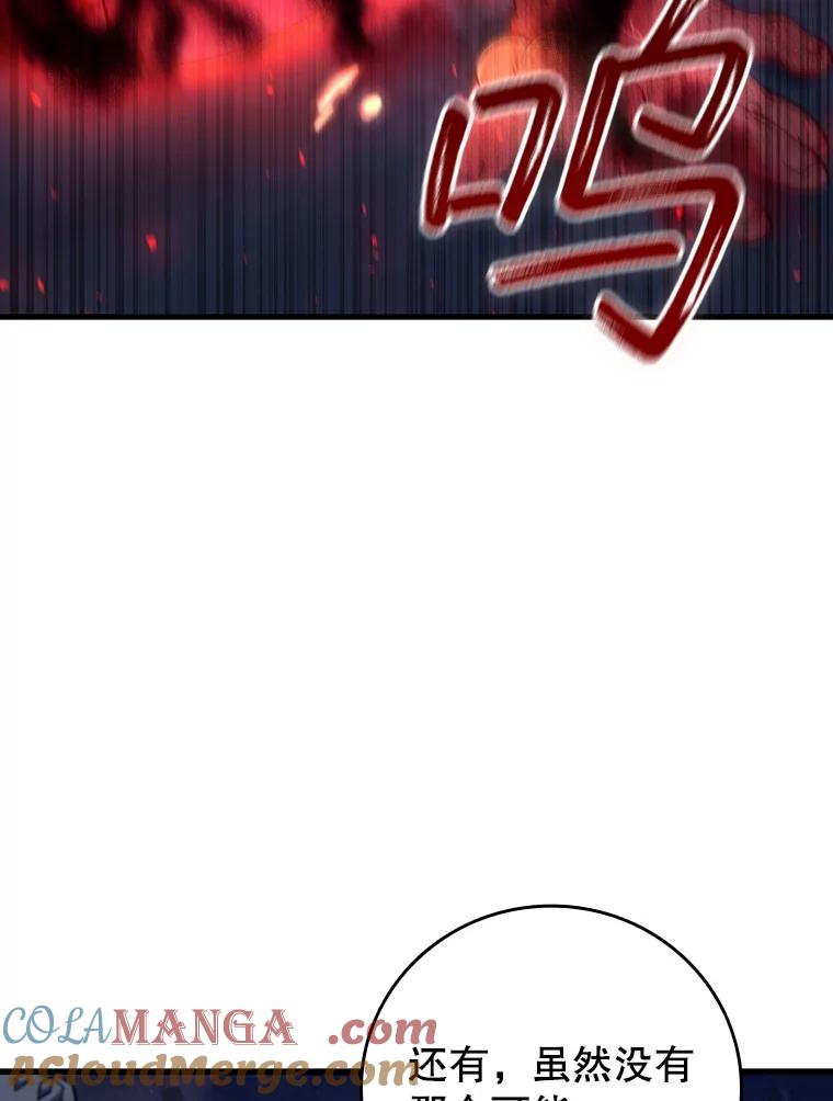 《噬龙魔法师》43.私生子 第89页