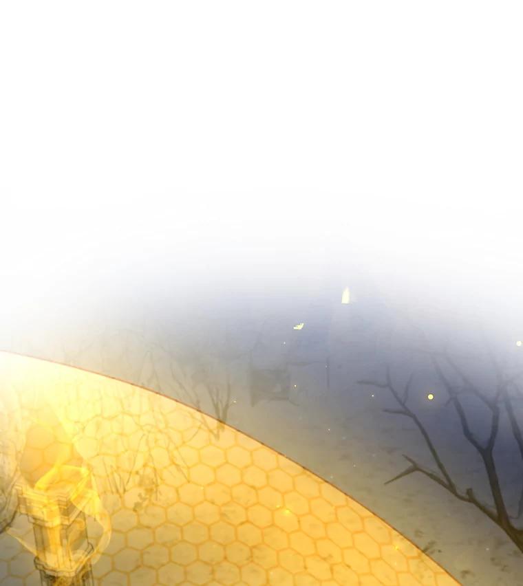 《噬龙魔法师》43.私生子 第44页