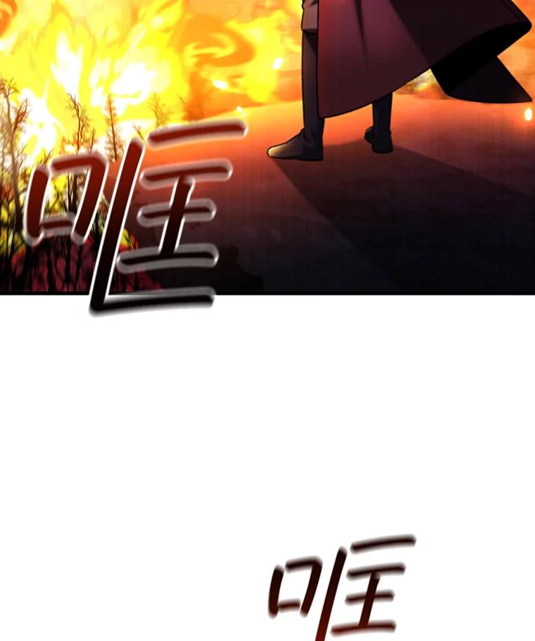 《噬龙魔法师》43.私生子 第110页