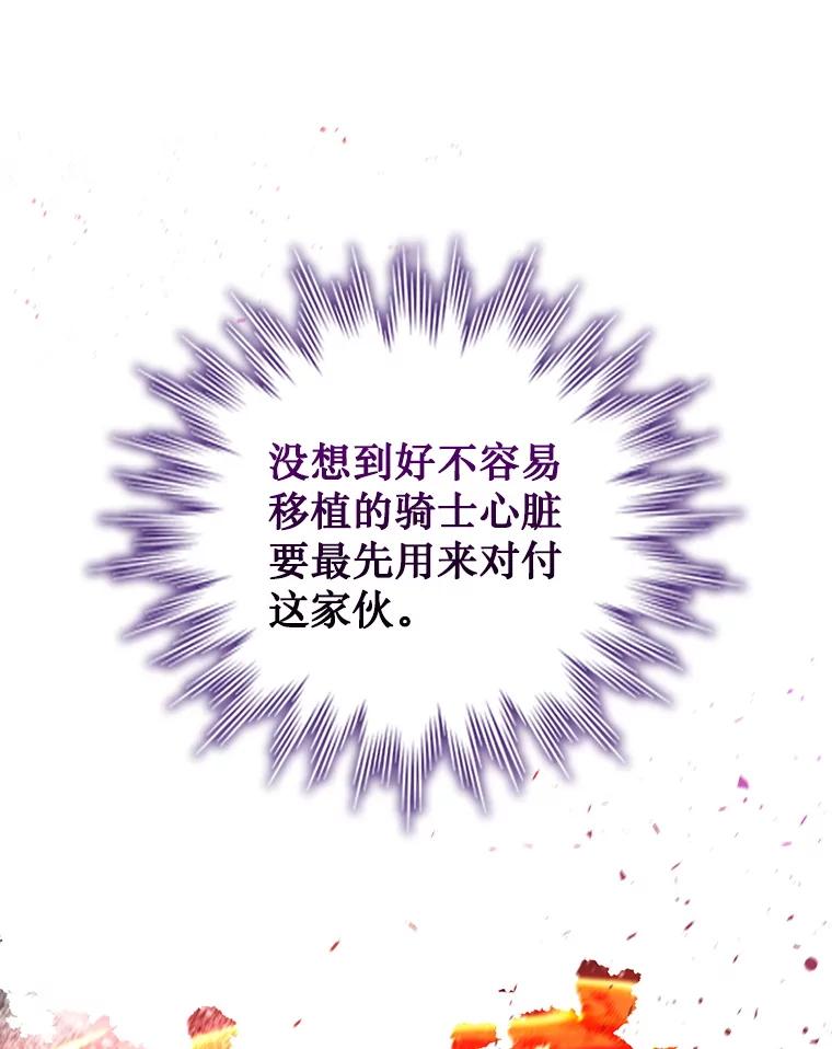 《噬龙魔法师》45.攻击转移 第83页