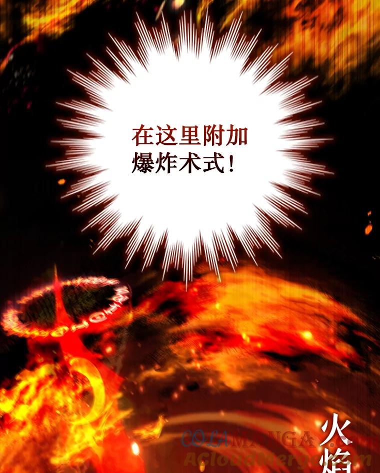 《噬龙魔法师》45.攻击转移 第29页