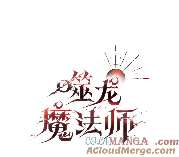 《噬龙魔法师》45.攻击转移 第45页