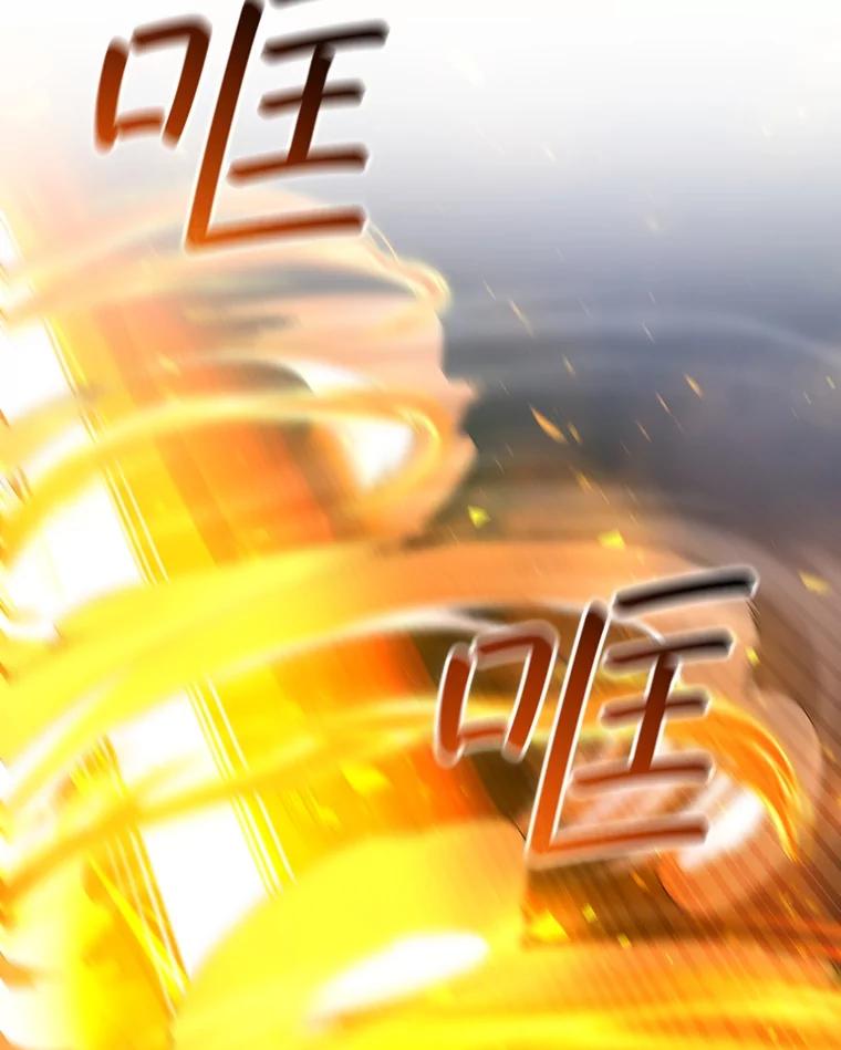《噬龙魔法师》45.攻击转移 第146页