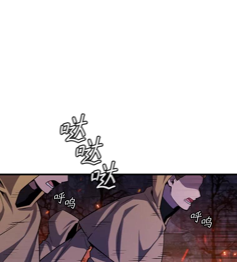《噬龙魔法师》45.攻击转移 第47页