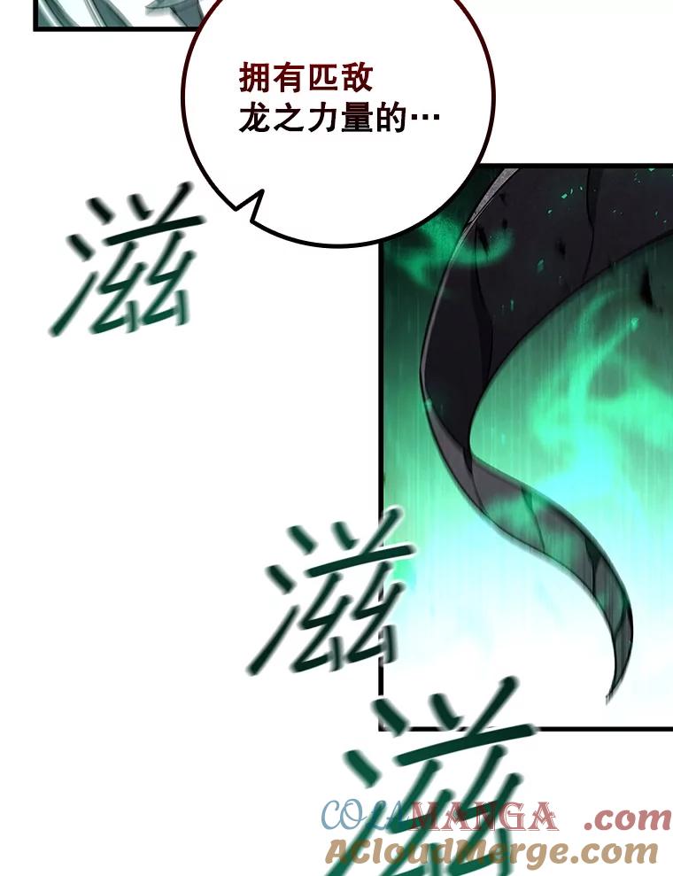 《噬龙魔法师》46.两颗心 第133页