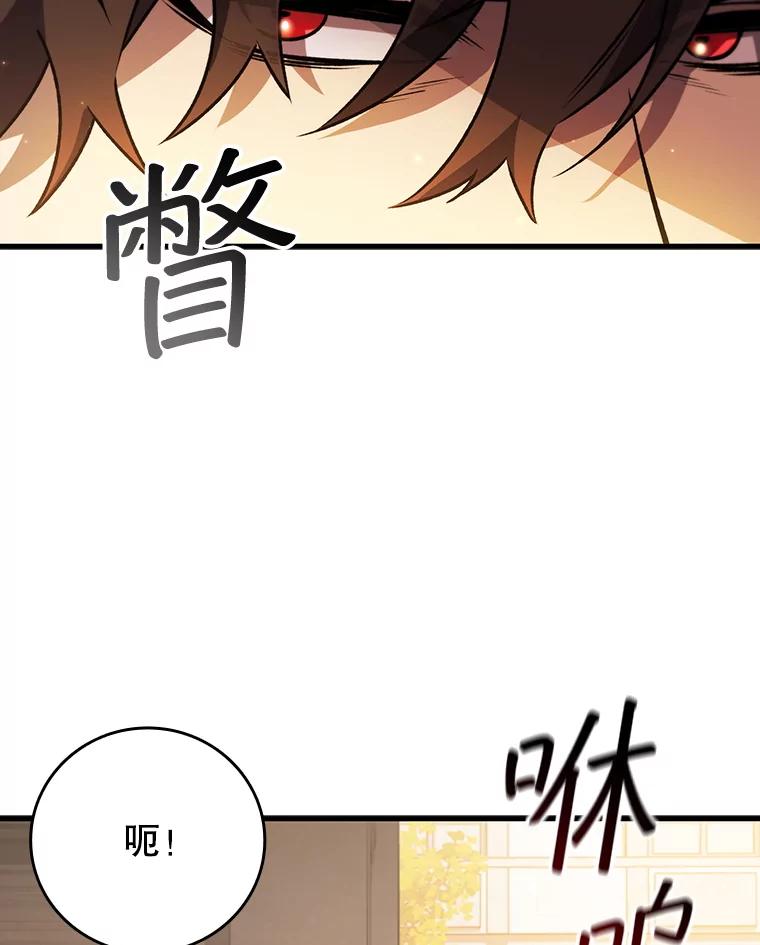 《噬龙魔法师》48.同病相怜 第87页