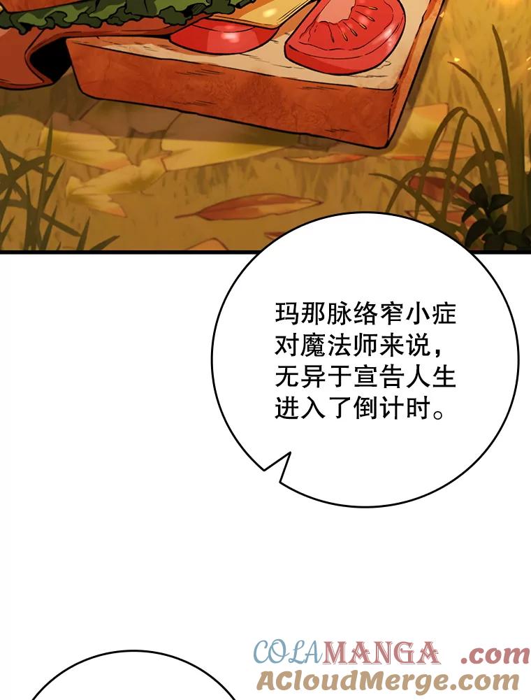 《噬龙魔法师》48.同病相怜 第97页