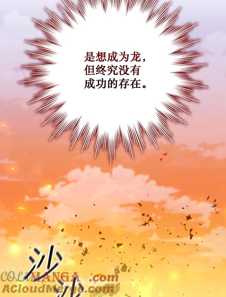 《噬龙魔法师》52.勇气 第133页