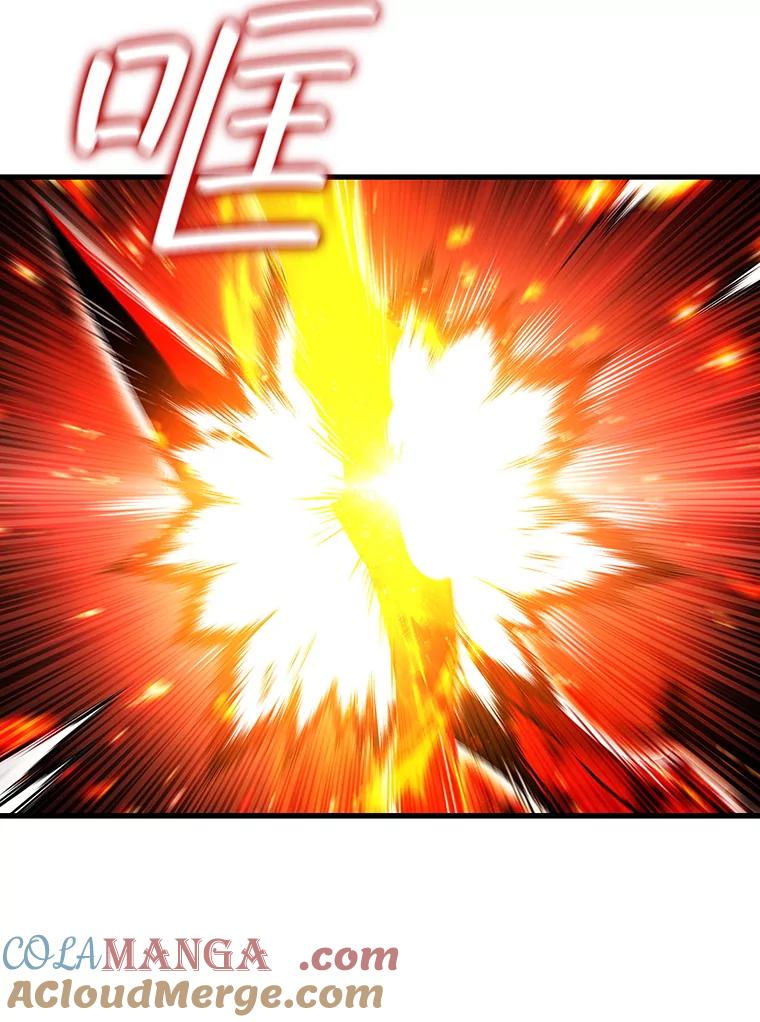 《噬龙魔法师》52.勇气 第13页