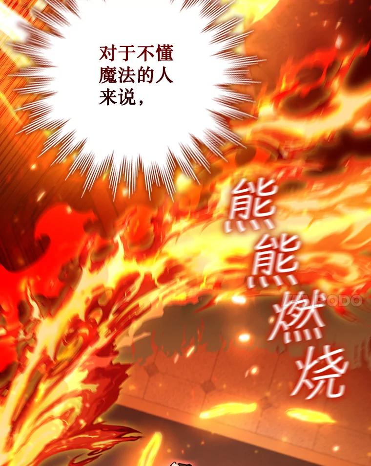 《噬龙魔法师》53.证明自己 第91页