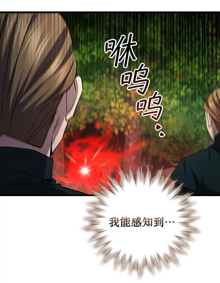 《噬龙魔法师》54.是他杀的 第115页