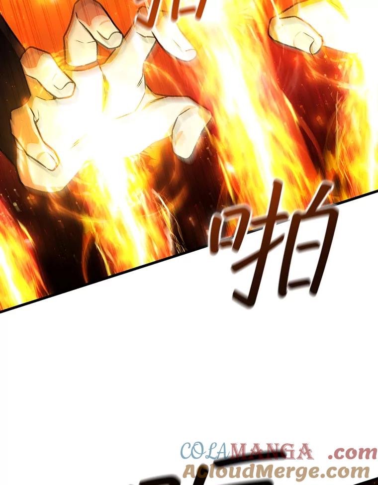 《噬龙魔法师》54.是他杀的 第101页